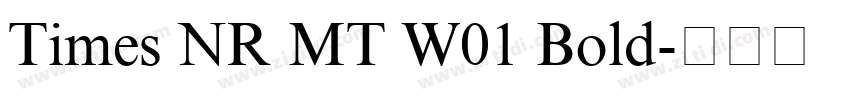 Times NR MT W01 Bold字体转换